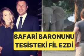 guney-afrikada-av-ve-safari-tesisi-sahibi-ceo-fil-saldirisina-ugrayarak-hayatini-kaybetti-We9vQ9tE.jpg