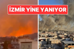 izmir-bucada-orman-yangini-minibuste-cikan-yangin-ormana-sicradi-L8gfVhAC.jpg