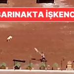 kars-belediyesine-iliskin-barinakta-kopeklere-iskence-belediye-baskani-otuken-sengerden-aciklama-geldi-b7eGbU1t.jpg