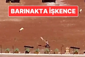 kars-belediyesine-iliskin-barinakta-kopeklere-iskence-belediye-baskani-otuken-sengerden-aciklama-geldi-b7eGbU1t.jpg