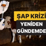 kars-ve-ardahanda-baslayan-hastalik-artvine-de-sicradi-uretici-ve-tuketiciler-telasli-OGfM4OzB.jpg