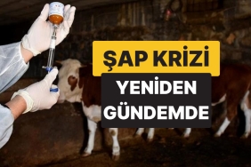 kars-ve-ardahanda-baslayan-hastalik-artvine-de-sicradi-uretici-ve-tuketiciler-telasli-OGfM4OzB.jpg
