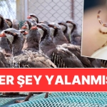 keklikler-kene-yemiyormus-kekliklerin-kene-populasyonunu-artirdigi-arguman-edildi-c8iJ98wS.jpg
