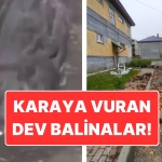 rusyada-88-buyuklugunde-zelzele-zelzele-aninda-cekilen-vahim-goruntuler-6h83aJac.jpg