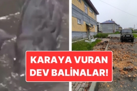 rusyada-88-buyuklugunde-zelzele-zelzele-aninda-cekilen-vahim-goruntuler-6h83aJac.jpg