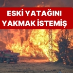 sakaryadaki-yanginin-sebebi-duyanlara-pes-dedirtti-jPvRQ778.jpg