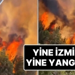 tekrar-izmir-yeniden-yangin-bornovada-orman-yangini-cikti-etraf-yolu-trafige-kapatildi-ax28eVEz.jpg