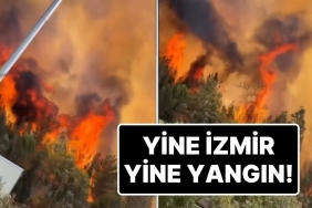 tekrar-izmir-yeniden-yangin-bornovada-orman-yangini-cikti-etraf-yolu-trafige-kapatildi-ax28eVEz.jpg