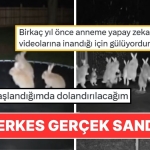 trambolinde-ziplayan-tavsanlarin-goruntusu-butun-internet-alemini-kandirdi-m1Auymtc.jpg