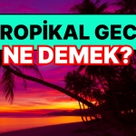 tropikal-gece-ne-demek-tropikal-gece-tesiri-nedir-ivjybnTP.jpg
