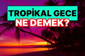 tropikal-gece-ne-demek-tropikal-gece-tesiri-nedir-ivjybnTP.jpg