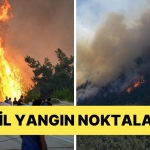 turkiye-durdurulamayan-yanginlarla-ugras-ediyor-vilayet-il-yangin-noktalari-zfwzqW2b.jpg